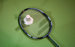 668430edbfa1a_badmintonchinoisdeces17ans668283ad407dc.jpg