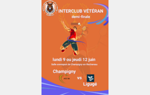 Interclubs Vétérans - 1/2 finale Champigny / Ligugé